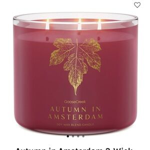🍂🍃 GC Autumn in Amsterdam 3-Wick Candle NEW